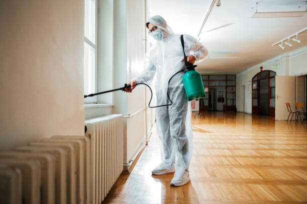 Best Flea Control Services  in Greenfield, MO